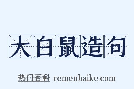 大白鼠造句是什么意思的图片